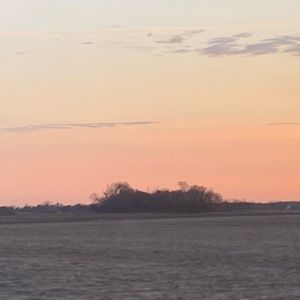 Would anyone be willing to trade me an Apple Watch for anything I post on here?